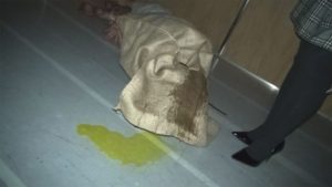 8月27日 ブログ用画像_190826_0011