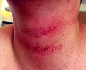 2020_15.8.14ブログ用画像_200814