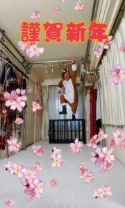 48549055-7EAE-4282-9553-7AE065E9C597