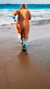 60445FB2-229F-442A-B823-BBFDAB74FB65