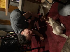 IMG_0434